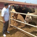Samet