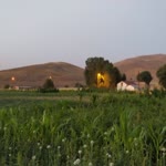 Yusuf