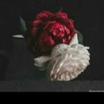 Esma