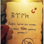 Zeynel