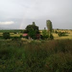 Aysel