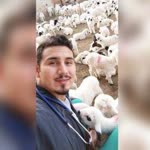 Osman
