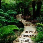 Metin