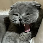 Melike