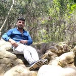 Yunus