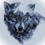 Tolga