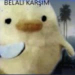 Belalı