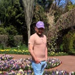 Tayfun