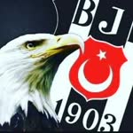 İnci