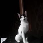 Nergiz