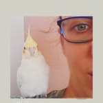 Elif