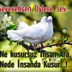 Saliha