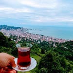 Murat