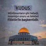 Vedat