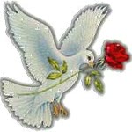 Aydın