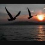 Tuncay