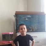 Halit