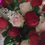 assil_