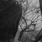 Ebrar