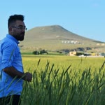 Umut