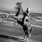 Adile