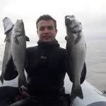 Fikret