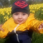 Erol