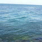 Bahar