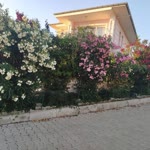 Profil fotoğrafı