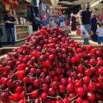 Belkıs
