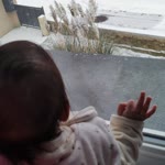 Meral