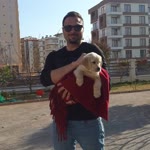 Mutlu