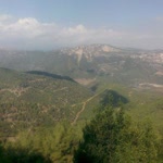 Burhanettin