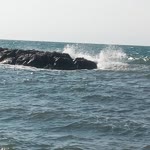 Fikret