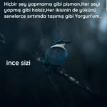 Bekir