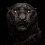 Furkan