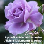 Safiye