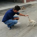 Ali