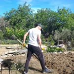 Murat