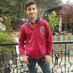 Doğan