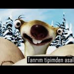Nebi