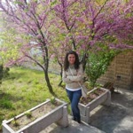 Bahar