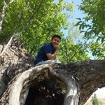 Kadir
