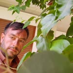 Yiğit