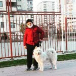 Deniz