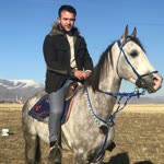 Anıl