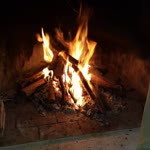 Belgin