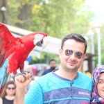 Murat