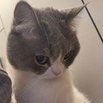 Eda