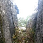 Erol